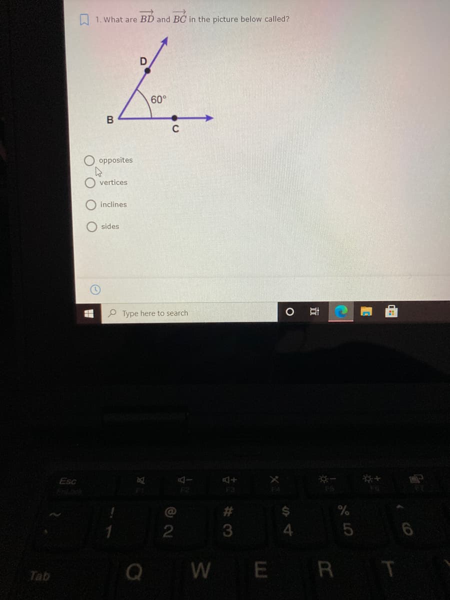 1. What are BD and BC in the picture below called?
60°
opposites
O vertices
O inclines
O sides
P Type here to search
Esc
F2
P4
2#3
2
3.
WE R T
Tab
近
