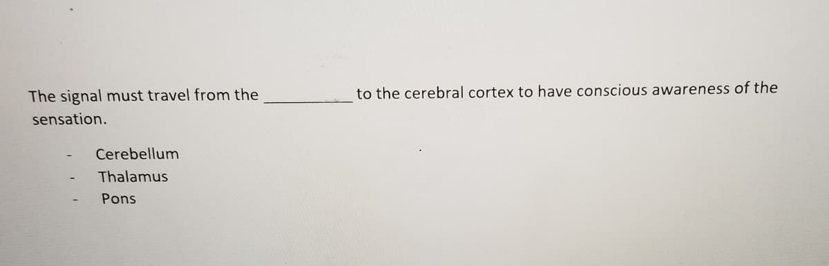 The signal must travel from the
to the cerebral cortex to have conscious awareness of the
sensation.
Cerebellum
Thalamus
Pons
