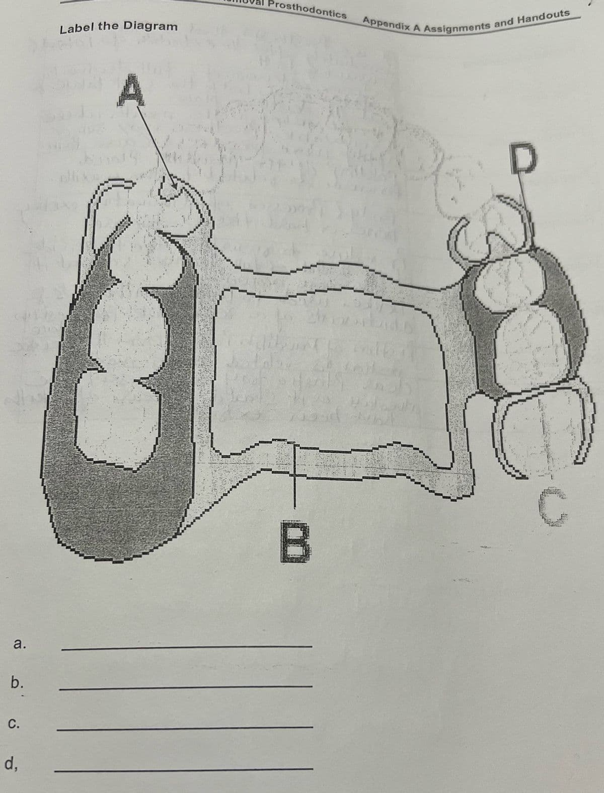 a.
b.
C.
d,
Label the Diagram
A
Prosthodontics
B
Appendix A Assignments and Handouts
550
C