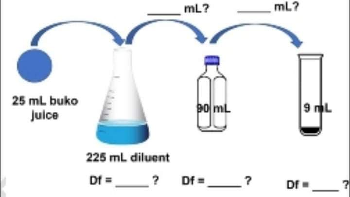 mL?
mL?
25 mL buko
Juice
po mL
9 L
225 ml diluent
Df = ?
Df =
Df=
