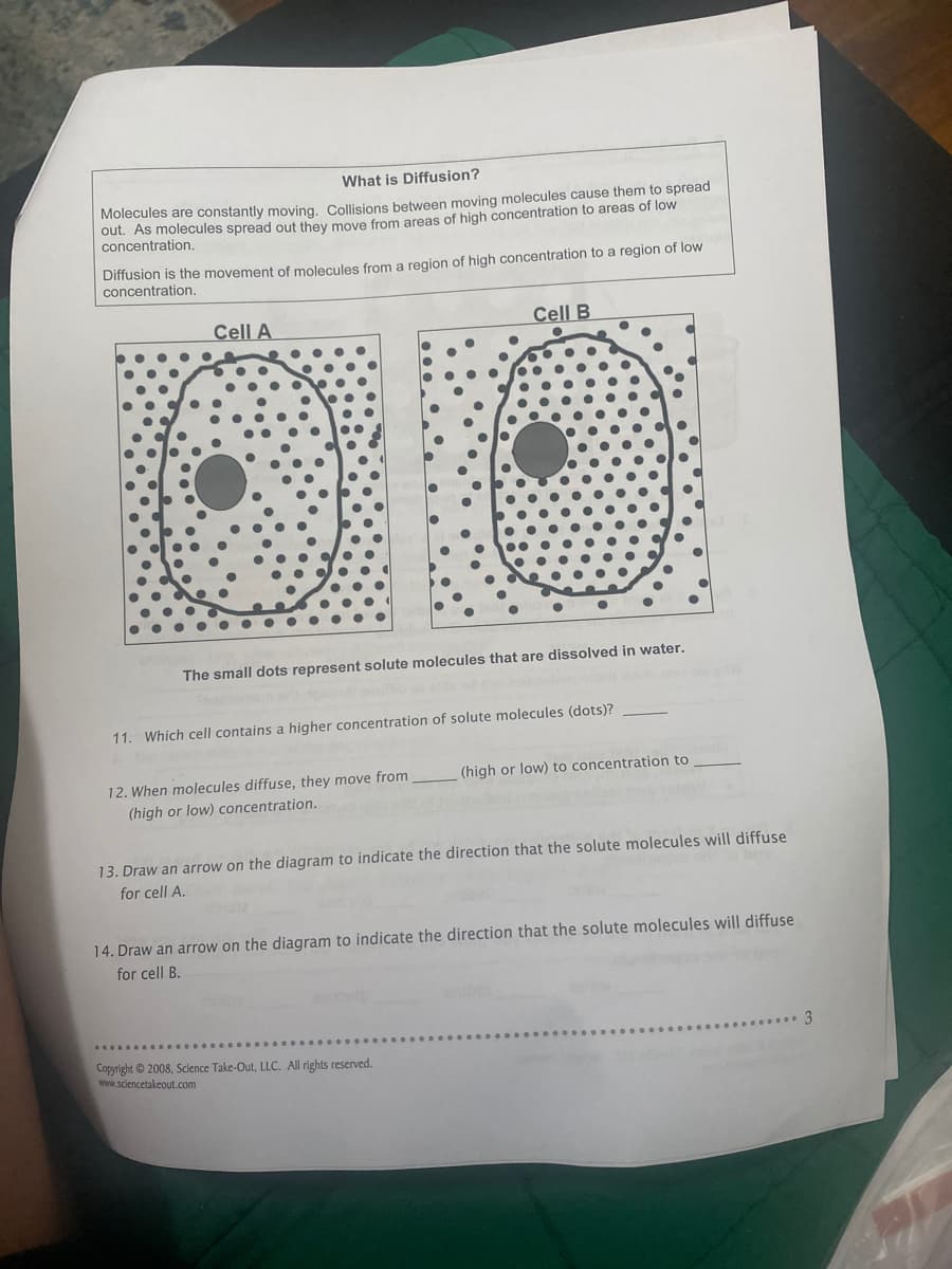 What is Diffusion?
Molecules are constantly moving, Collisions between moving molecules cause them to spread
out. As molecules spread out they move from areas of high concentration to areas of low
concentration.
Diffusion is the movement of molecules from a region of high concentration to a region of low
concentration.
Cell A
Cell B
The small dots represent solute molecules that are dissolved in water.
11. Which cell contains a higher concentration of solute molecules (dots)?
(high or low) to concentration to
12. When molecules diffuse, they move from
(high or low) concentration.
13. Draw an arrow on the diagram to indicate the direction that the solute molecules will diffuse
for cell A.
14. Draw an arrow on the diagram to indicate the direction that the solute molecules will diffuse
for cell B.
3
Copyright © 2008, Science Take-Out, LLC. All rights reserved.
www.sciencetakeout.com
