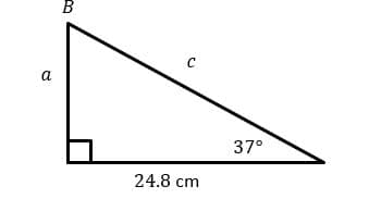 a
37°
24.8 cm
