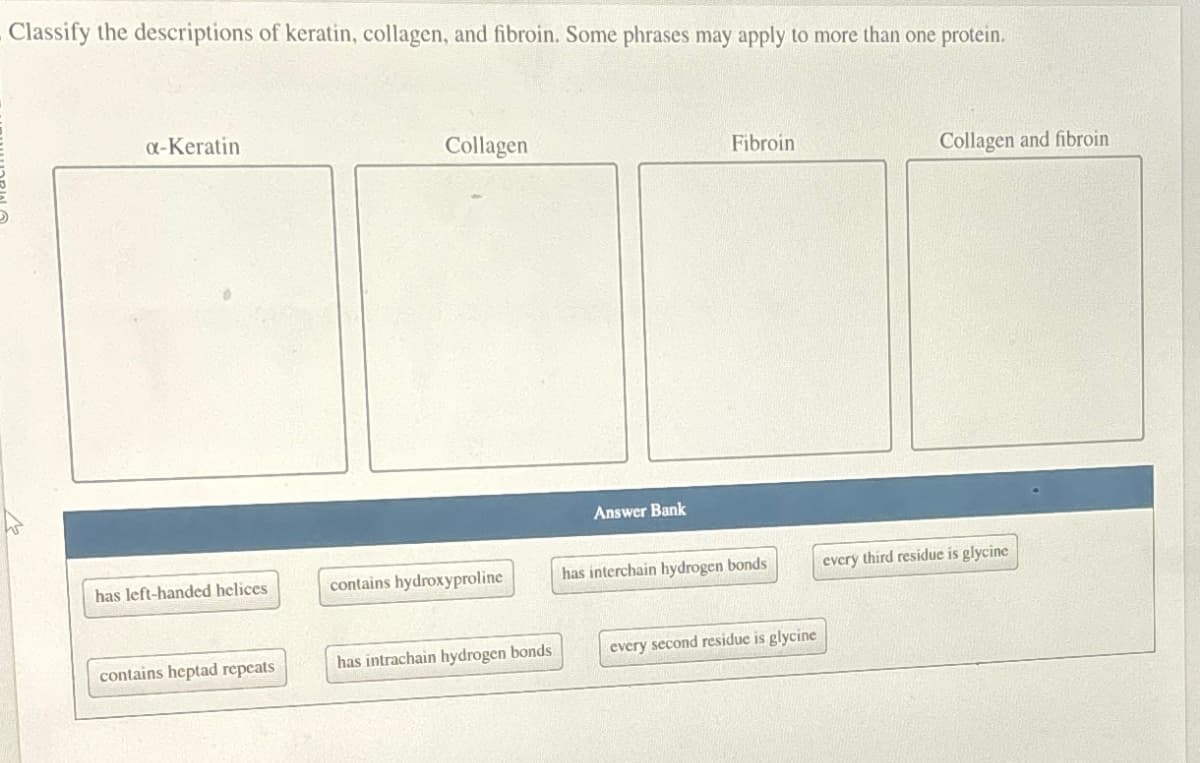 Classify the descriptions of keratin, collagen, and fibroin. Some phrases may apply to more than one protein.
α-Keratin
has left-handed helices
contains heptad repeats
Collagen
contains hydroxyproline
has intrachain hydrogen bonds
Answer Bank
Fibroin
has interchain hydrogen bonds
every second residue is glycine
Collagen and fibroin
every third residue is glycine