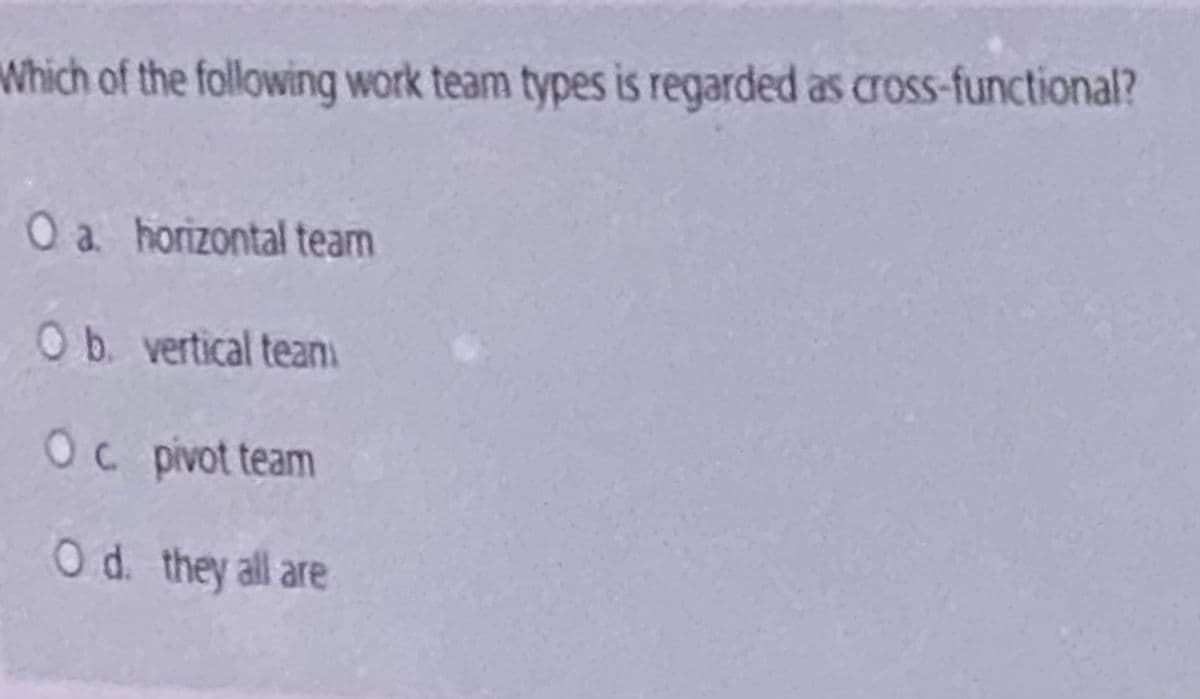 Which of the following work team types is regarded as cross-functional?
O a horizontal team
Ob. vertical teanı
Oc pivot team
Od. they all are
