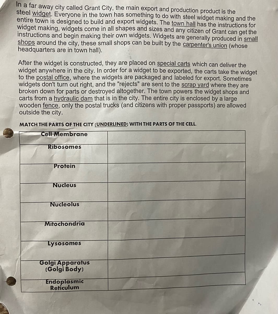 In a far away city called Grant City, the main export and production product is the
steel widget. Everyone in the town has something to do with steel widget making and the
entire town is designed to build and export widgets. The town hall has the instructions for
widget making, widgets come in all shapes and sizes and any citizen of Grant can get the
instructions and begin making their own widgets. Widgets are generally produced in small
shops around the city, these small shops can be built by the carpenter's union (whose
headquarters are in town hall).
After the widget is constructed, they are placed on special carts which can deliver the
widget anywhere in the city. In order for a widget to be exported, the carts take the widget
to the postal office, where the widgets are packaged and labeled for export. Sometimes
widgets don't turn out right, and the "rejects" are sent to the scrap yard where they are
broken down for parts or destroyed altogether. The town powers the widget shops and
carts from a hydraulic dam that is in the city. The entire city is enclosed by a large
wooden fence, only the postal trucks (and citizens with proper passports) are allowed
outside the city.
MATCH THE PARTS OF THE CITY (UNDERLINED) WITH THE PARTS OF THE CELL.
Cell Membrane
Ribosomes
Protein
Nucleus
Nucleolus
Mitochondria
Lysosomes
Golgi ApparatuS
(Golgi Body)
Endoplasmic
Reticulum
