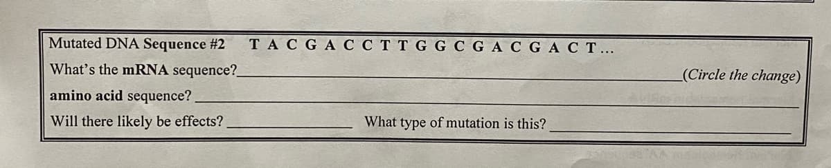 Mutated DNA Sequence #2
TACGA C C T T G G C GAC GACT...
What's the mRNA sequence?.
(Circle the change)
amino acid sequence?
Will there likely be effects?
What
type of mutation is this?
