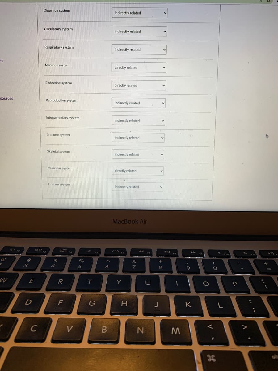 Digestive system
indirectly related
Circulatory system
indirectly related
Respiratory system
indirectly related
ts
Nervous system
directly related
Endocrine system
directly related
sources
Reproductive system
indirectly related
Integumentary system
indirectly related
Immune system
indirectly related
Skeletal system
indirectly related
Muscular system
directly related
Urinary system
indirectly related
MacBook Air
F7
23
%24
%
&
3
4
5
8
E
R
Y
P
D
J
K
L
V
F.

