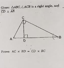 Given: AABC, LACB is a right angle, and
CD 1 AB.
A
D
Prove: AC x BD = 'CD x BC
