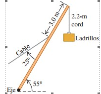 2.2-m
cord
Ladrillos:
Cable
55°
Eje
2501
K-3.0 m-
