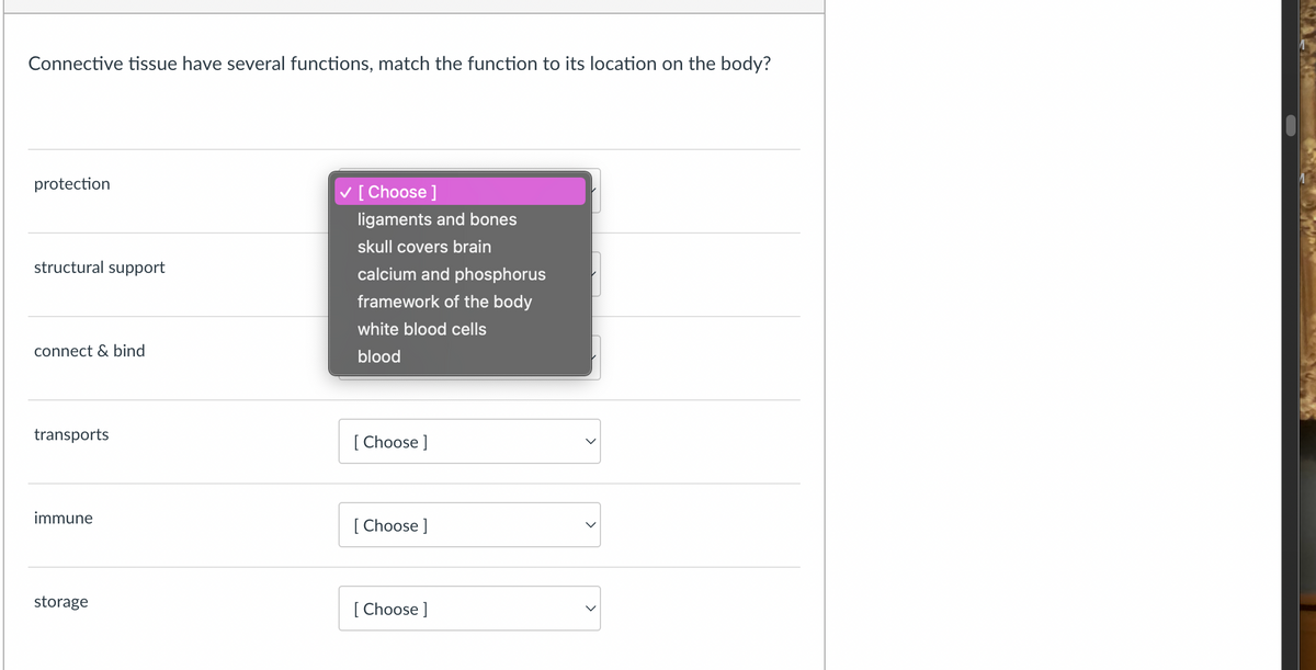 Connective tissue have several functions, match the function to its location on the body?
protection
structural support
connect & bind
✓ [Choose ]
ligaments and bones
skull covers brain
calcium and phosphorus
framework of the body
white blood cells
blood
transports
[Choose ]
immune
[Choose ]
storage
[Choose ]