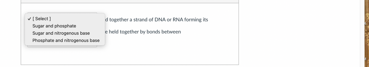 ✓ [Select]
Sugar and phosphate
Sugar and nitrogenous base
Phosphate and nitrogenous base
d together a strand of DNA or RNA forming its
e held together by bonds between