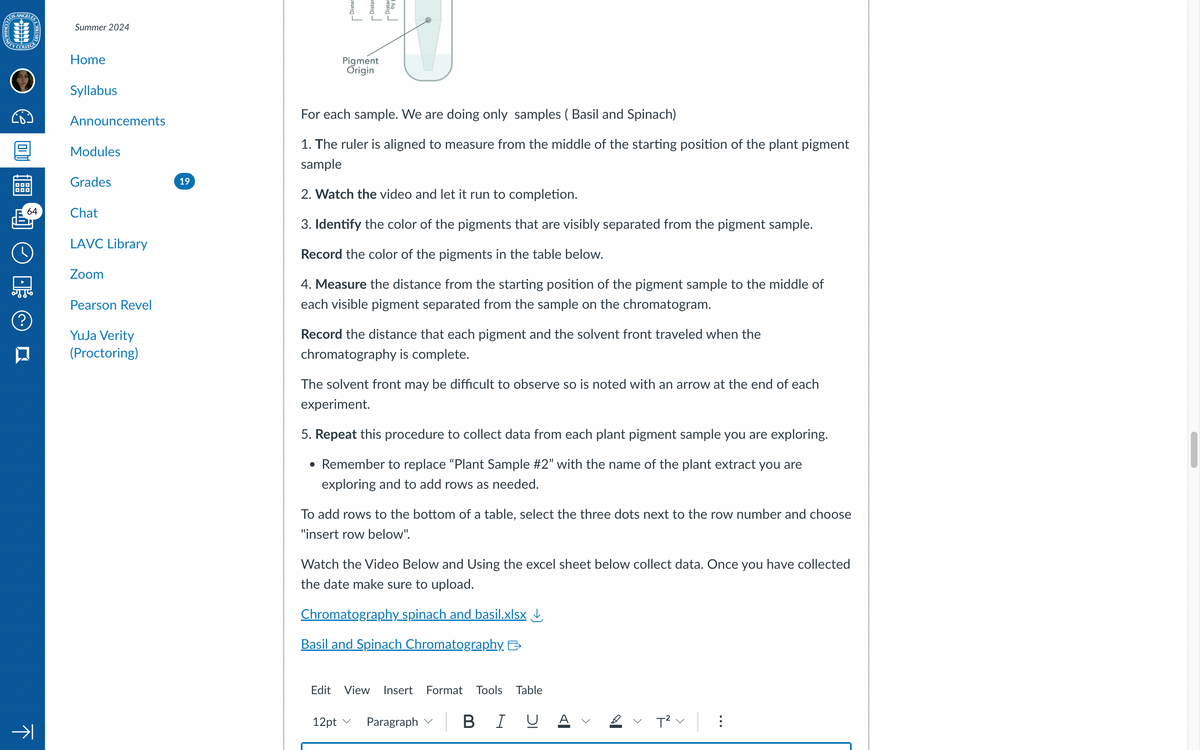 COMMUNI
OS ANGELES
་་་་
DISTRICTS
TY COLLEGE
Summer 2024
LLE
Home
Syllabus
Announcements
Modules
Grades
19
64
Chat
LAVC Library
Zoom
Pearson Revel
YuJa Verity
(Proctoring)
Pigment
Origin
For each sample. We are doing only samples (Basil and Spinach)
1. The ruler is aligned to measure from the middle of the starting position of the plant pigment
sample
2. Watch the video and let it run to completion.
3. Identify the color of the pigments that are visibly separated from the pigment sample.
Record the color of the pigments in the table below.
4. Measure the distance from the starting position of the pigment sample to the middle of
each visible pigment separated from the sample on the chromatogram.
Record the distance that each pigment and the solvent front traveled when the
chromatography is complete.
The solvent front may be difficult to observe so is noted with an arrow at the end of each
experiment.
5. Repeat this procedure to collect data from each plant pigment sample you are exploring.
• Remember to replace "Plant Sample #2" with the name of the plant extract you are
exploring and to add rows as needed.
To add rows to the bottom of a table, select the three dots next to the row number and choose
"insert row below".
Watch the Video Below and Using the excel sheet below collect data. Once you have collected
the date make sure to upload.
Chromatography spinach and basil.xlsx✓
Basil and Spinach Chromatography >
不
Edit View Insert
Format Tools Table
12pt v
Paragraph
BI U
T²
...