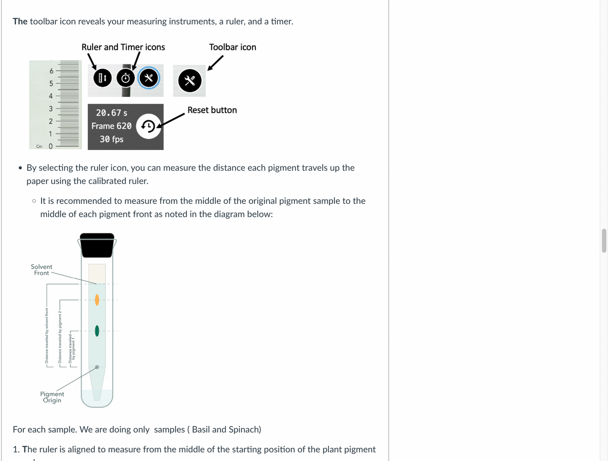 .
The toolbar icon reveals your measuring instruments, a ruler, and a timer.
6
5
Ruler and Timer icons
boo
x
Toolbar icon
4
20.67 s
Reset button
2
Frame 620
1
30 fps
Cm
0
By selecting the ruler icon, you can measure the distance each pigment travels up the
paper using the calibrated ruler.
。 It is recommended to measure from the middle of the original pigment sample to the
middle of each pigment front as noted in the diagram below:
Solvent
Front
Distance traveled by solvent front
Distance traveled by pigment 2
by pigment 1-
Pigment
Origin
For each sample. We are doing only samples ( Basil and Spinach)
1. The ruler is aligned to measure from the middle of the starting position of the plant pigment
