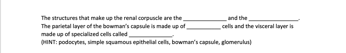 The structures that make up the renal corpuscle are the
and the
The parietal layer of the bowman's capsule is made up of
cells and the visceral layer is
made up of specialized cells called
(HINT: podocytes, simple squamous epithelial cells, bowman's capsule, glomerulus)
