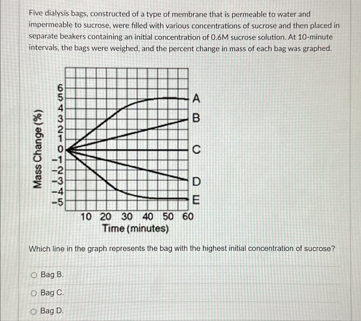 Five dialysis bags, constructed of a type of membrane that is permeable to water and
impermeable to sucrose, were filled with various concentrations of sucrose and then placed in
separate beakers containing an initial concentration of 0.6M sucrose solution. At 10-minute
intervals, the bags were weighed, and the percent change in mass of each bag was graphed.
Mass Change (%)
65432104NTY
A
B
O Bag B.
O Bag C.
O Bag D.
C
DE
10 20 30 40 50 60
Time (minutes)
Which line in the graph represents the bag with the highest initial concentration of sucrose?