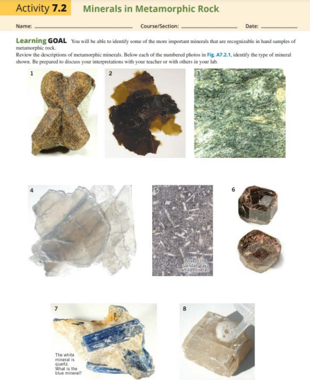 Activity 7.2
Minerals in Metamorphic Rock
Course/Section:
Date:
Learning GOAL You will be able to identify some of the more important minerals that are recognizable in hand samples of
metamorphic rock
Name:
Review the descriptions of metamorphic minerals. Below each of the numbered photos in Fig. A7.2.1, identify the type of mineral
shown. Be prepared to discuss your interpretations with your teacher or with others in your lab
The white
mineral is
quartz.
What is the
blue mineral?
Wirts the
Blender
itemineral