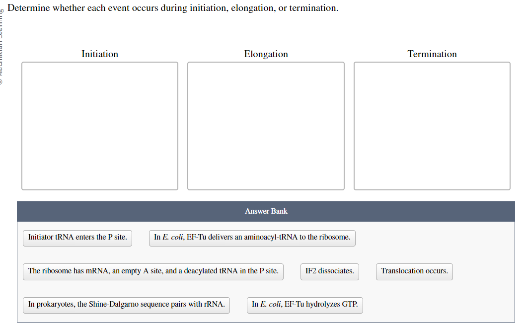 Determine whether each event occurs during initiation, elongation, or termination.
Initiation
Initiator tRNA enters the P site.
Elongation
Answer Bank
In E. coli, EF-Tu delivers an aminoacyl-tRNA to the ribosome.
In prokaryotes, the Shine-Dalgarno sequence pairs with rRNA.
The ribosome has mRNA, an empty A site, and a deacylated tRNA in the P site.
IF2 dissociates.
In E. coli, EF-Tu hydrolyzes GTP.
Termination
Translocation occurs.