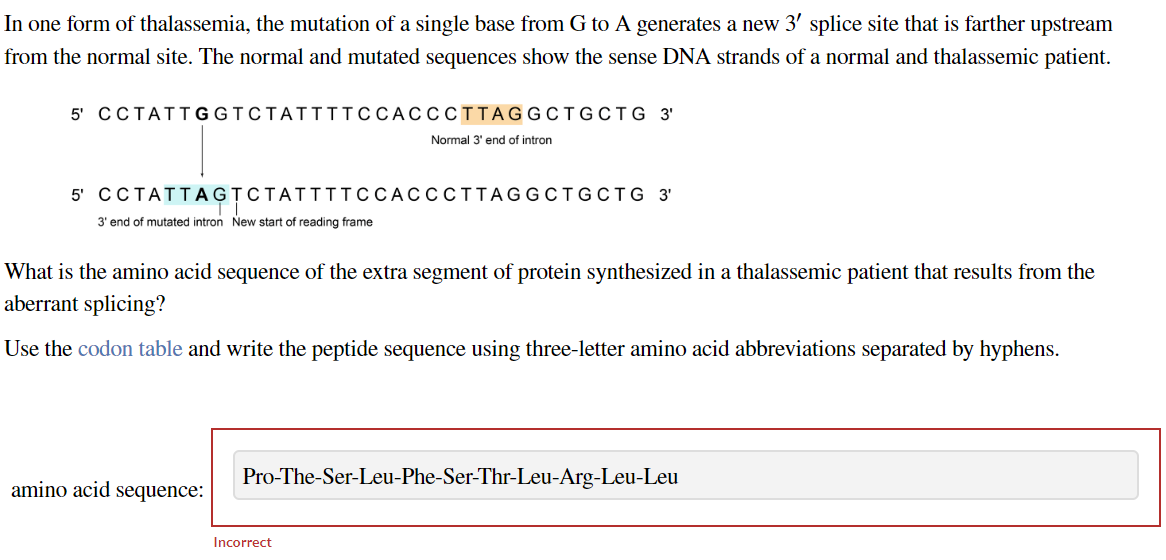 In one form of thalassemia, the mutation of a single base from G to A generates a new 3' splice site that is farther upstream
from the normal site. The normal and mutated sequences show the sense DNA strands of a normal and thalassemic patient.
5' CCTATTGGTCTATTTTCCACCCTTAGGCTGCTG 3'
5' CCTATTAGTCTATTTTCCACCCTTAGGCTGCTG 3'
3' end of mutated intron New start of reading frame
Normal 3' end of intron
What is the amino acid sequence of the extra segment of protein synthesized in a thalassemic patient that results from the
aberrant splicing?
Use the codon table and write the peptide sequence using three-letter amino acid abbreviations separated by hyphens.
amino acid sequence:
Pro-The-Ser-Leu-Phe-Ser-Thr-Leu-Arg-Leu-Leu
Incorrect