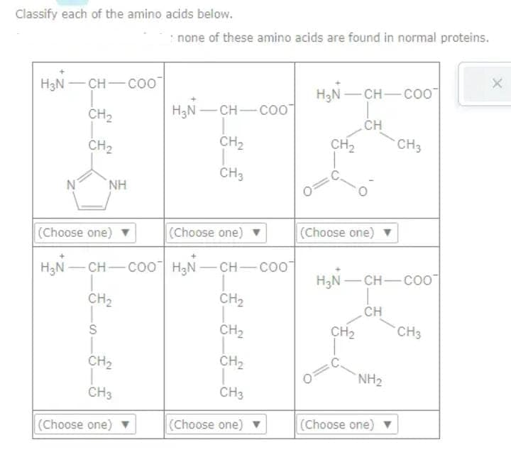 Classify each of the amino acids below.
H3N
-CH-COO
CH₂
CH₂
(Choose one)
H₂N-CH-COO
_________€
NH
CH₂
S
CH₂
CH3
(Choose one)
none of these amino acids are found in normal proteins.
H₂N-
-CH-COO
CH₂
CH3
(Choose one)
H₂N-CH-COO
CH₂
CH₂
CH₂
CH3
(Choose one)
H₂N-CH-COO
CH
CH₂
(Choose one)
H₂N-CH-COO
CH
CH₂
NH₂
CH3
(Choose one)
CH3
x