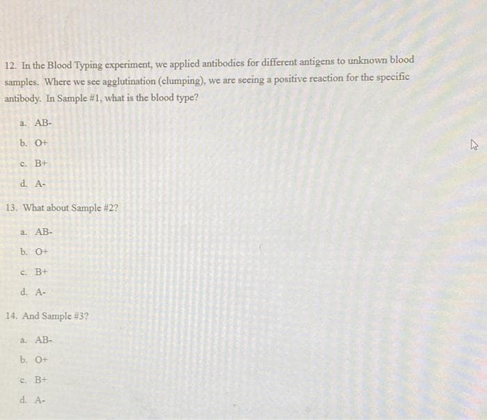 12. In the Blood Typing experiment, we applied antibodies for different antigens to unknown blood
samples. Where we see agglutination (clumping), we are seeing a positive reaction for the specific
antibody. In Sample #1, what is the blood type?
a. AB-
b. O+
c. B+
d. A-
13. What about Sample #2?
a. AB-
b. O+
c. B+
d. A-
14. And Sample #3?
a. AB-
b. O+
c. B+
d. A-
