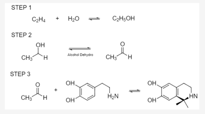 STEP 1
C2H4
H20
C2H;OH
+
STEP 2
OH
Alcohol Dehydro
CH3
H.
CH3
H.
STEP 3
он,
OH.
CH:
H.
H2N
HN
OH
OH
