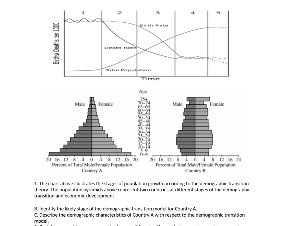 Birth Rate
Death Rate
Total Po pulation
Time
Age
Male
Female
Male
Female
50-34
20 16 12 8 4 0 4 8 12 16 20
Percent of Total Male/Female Population
20 16 12 8 4 0 4 8 12 16 20
Percent of Total Male/Female Population
Country B
Country A
1. The chart above illustrates the stages of population growth according to the demographic transition
theory. The population pyramids above represent two countries at different stages of the demographic
transition and economic development.
B. Identify the likely stage of the demographic transition model for Country A.
C. Describe the demographic characteristics of Country A with respect to the demographic transition
model.
Births/ Deaths per 1000

