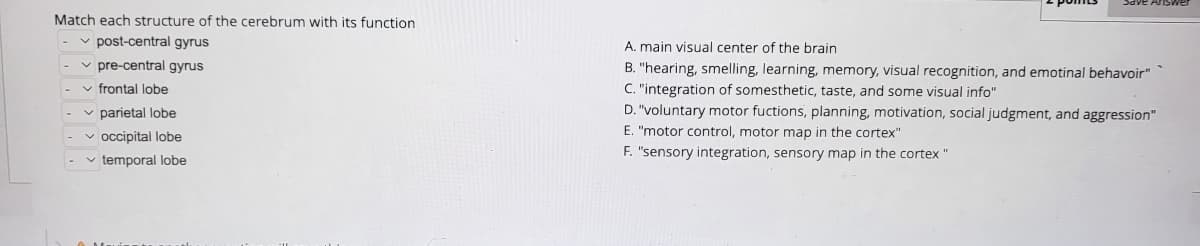 Match each structure of the cerebrum with its function
✓post-central gyrus
✓pre-central gyrus
✓ frontal lobe
✓parietal lobe
✓occipital lobe
✓temporal lobe
A. main visual center of the brain
B. "hearing, smelling, learning, memory, visual recognition, and emotinal behavoir"
C. "integration of somesthetic, taste, and some visual info"
D. "voluntary motor fuctions, planning, motivation, social judgment, and aggression"
E. "motor control, motor map in the cortex"
F. "sensory integration, sensory map in the cortex"
