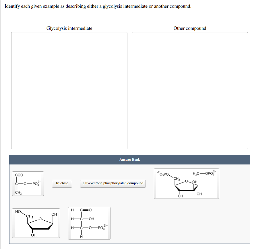 Identify each given example as describing either a glycolysis intermediate or another compound.
Glycolysis intermediate
Other compound
fructose
COO™
c-o-
-POS
||
CH₂
HO
CH₂
OH
OH
Answer Bank
a five-carbon phosphorylated compound
H-C=O
H-C-OH
H-C-O-PO
H
-²0₂PO.
CH₂
OH
H₂C-OPO
OH
2-