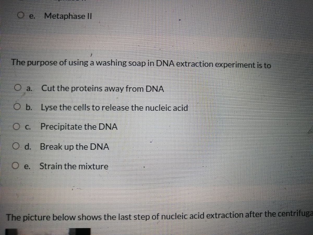 Metaphase II
re.
The purpose of using a washing soap in DNAextraction experiment is to
Oa.
Cut the proteins away from DNA
Ob. Lysethe cells to release the nucleic acid
O c. Precipitate the DNA
O d. Break up the DNA
O e.
Strain the mixture
The picture below shows the last step of nucleic acid extraction after the centrifuga
