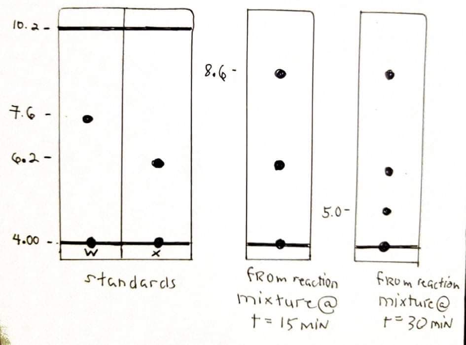 16. 2-
7.6 -
6.2-
5.0-
4.00
fRom reaction
from reaction
standards
mixture@
t = 15 miN
mixtuíe @
=30 miN
