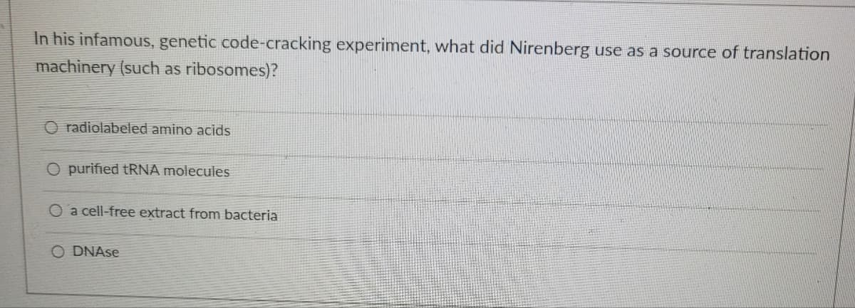 In his infamous, genetic code-cracking experiment, what did Nirenberg use as a source of translation
machinery (such as ribosomes)?
O radiolabeled amino acids
O purified tRNA molecules
O a cell-free extract from bacteria
O DNAse