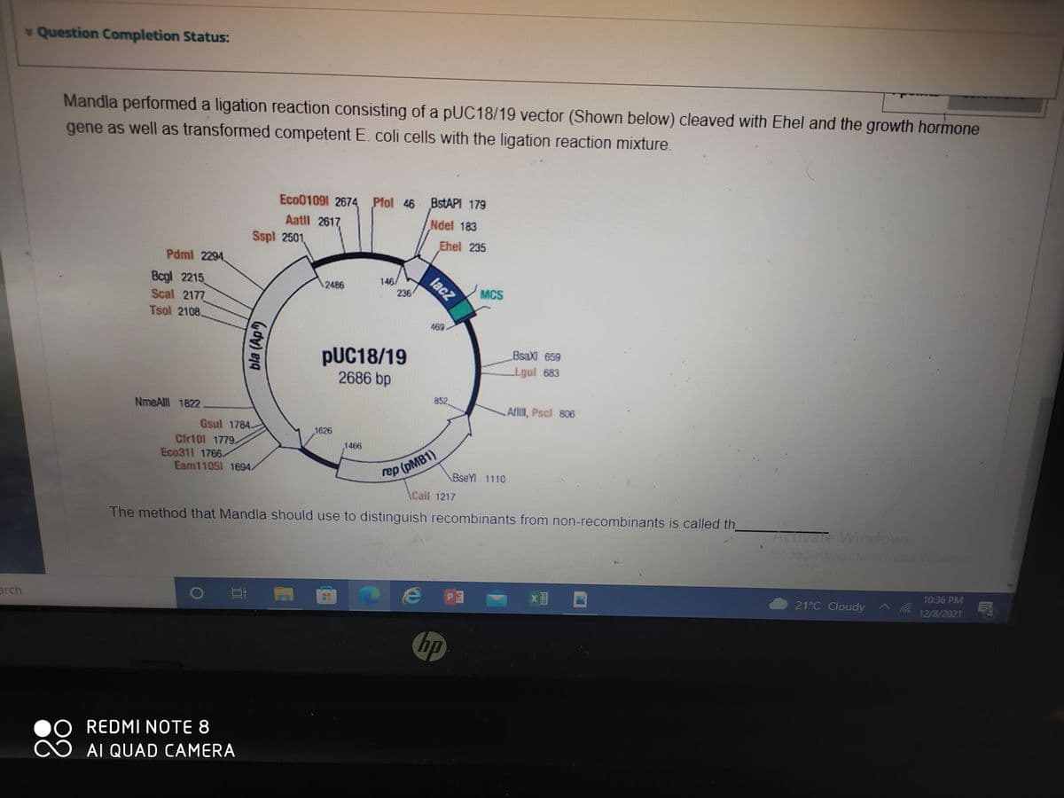 * Question Completion Status:
Mandla performed a ligation reaction consisting of a pUC18/19 vector (Shown below) cleaved with Ehel and the growth hormone
gene as well as transformed competent E. coli cells with the ligation reaction mixture.
Eco01091 2674 Pfol 46 BSTAPI 179
Aatll 2617
Ndel 183
Sspl 2501
Ehel 235
Pdml 2294,
lacz
Bcgl 2215
Scal 2177
146/
236
2486
MCS
Tsol 2108,
469
BsaX 659
PUC18/19
2686 bp
Igul 683
852
NmeAll 1822
Afl, Pscl 806
Gsul 1784.
Cir101 1779.
Eco311 1766.
Eam11051 1694.
1626
1466
rep (PMB1)
ACail 1217
BseYl 1110
ACivate Windows
Go to Settings to activate wndows
The method that Mandla should use to distinguish recombinants from non-recombinants is called th
10:36 PM
21°C Cloudy ^
^ Ca.
12/8/2021
arch
hp
REDMI NOTE 8
AI QUAD CAMERA
88
bla (Ap
