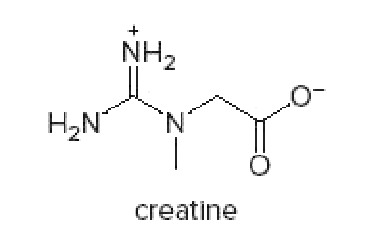 NH2
H2N
N.
creatine
