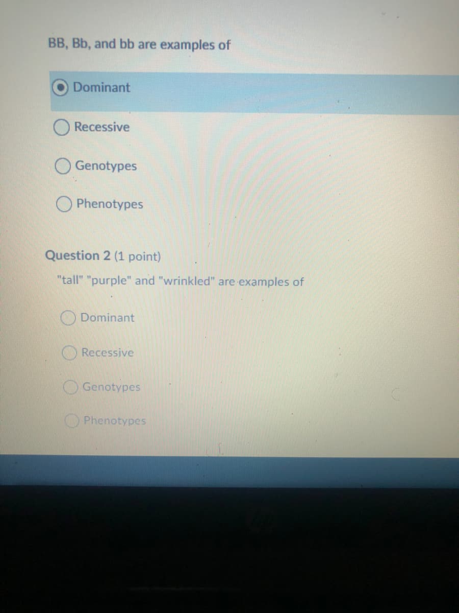 BB, Bb, and bb are examples of
Dominant
Recessive
O Genotypes
O Phenotypes
Question 2 (1 point)
"tall" "purple" and "wrinkled" are examples of
Dominant
Recessive
Genotypes
Phenotypes
