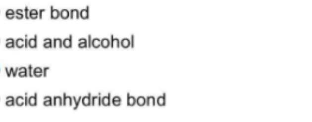 ester bond
acid and alcohol
water
acid anhydride bond