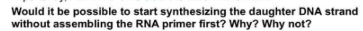 Would it be possible to start synthesizing the daughter DNA strand
without assembling the RNA primer first? Why? Why not?