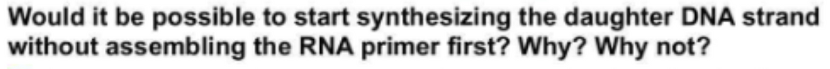 Would it be possible to start synthesizing the daughter DNA strand
without assembling the RNA primer first? Why? Why not?