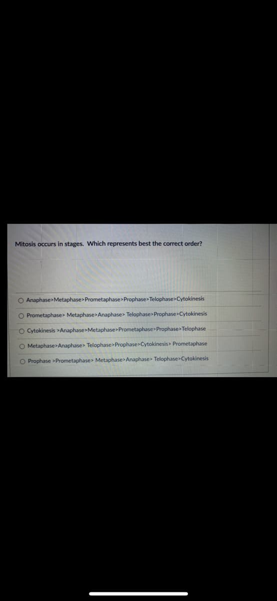 Mitosis occurs in stages. Which represents best the correct order?
O Anaphase>Metaphase>Prometaphase>Prophase>Telophase>Cytokinesis
O Prometaphase> Metaphase>Anaphase> Telophase>Prophase>Cytokinesis
O Cytokinesis>Anaphase>Metaphase>Prometaphase>Prophase>Telophase
O Metaphase>Anaphase> Telophase>Prophase>Cytokinesis> Prometaphase
O Prophase >Prometaphase> Metaphase>Anaphase> Telophase>Cytokinesis
