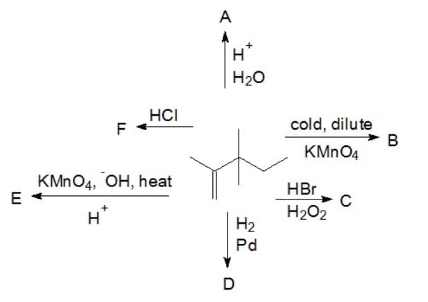 A
H*
H20
HCI
F
cold, dilute
B
KMNO4
KMNO4, OH, heat
E
HBr
H202
H
H2
Pd
D
