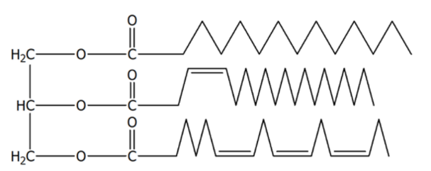 H2C
WWWM
HC-
O=U 0= Ù 0=Ù
