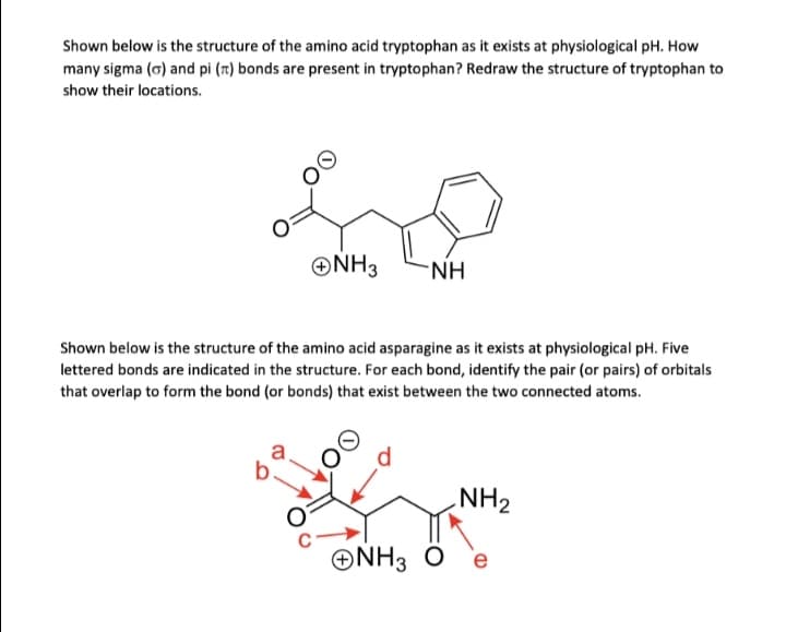 Shown below is the structure of the amino acid tryptophan as it exists at physiological pH. How
many sigma (o) and pi (r) bonds are present in tryptophan? Redraw the structure of tryptophan to
show their locations.
ONH3
NH.
Shown below is the structure of the amino acid asparagine as it exists at physiological pH. Five
lettered bonds are indicated in the structure. For each bond, identify the pair (or pairs) of orbitals
that overlap to form the bond (or bonds) that exist between the two connected atoms.
a
b.
NH2
ONH3 Ô
