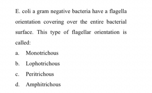 E. coli a gram negative bacteria have a flagella
orientation covering over the entire bacterial
surface. This type of flagellar orientation is
called:
a. Monotrichous
b. Lophotrichous
c. Peritrichous
d. Amphitrichous
