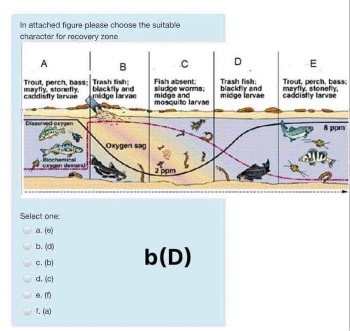 In attached figure please choose the suitable
character for recovery zone
A
.C
D
B
Trout, perch, bass: Trash fish;
mayfly, stonefly,
caddisfly larvae
blackfly and
midge larvae
Fish absent;
sludge worms;
midge and
mosquito larvae
Trash fish:
blackfly and
midge larvae
Trout, perch, bass3;
mayfly, stonefly,
caddistly larvae
Dissolved oxygen
8 ppm
Oxygen sag
Biochemical
caygen demand
ppm
Select one:
a. (e)
b. (d)
b(D)
с. (b)
d. (c)
e. (f)
f. (a)
