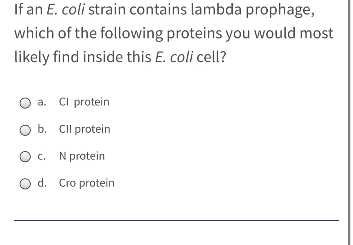 If an E. coli strain contains lambda prophage,
which of the following proteins you would most
likely find inside this E. coli cell?
CI protein
а.
O b. CIl protein
N protein
C.
O d. Cro protein
