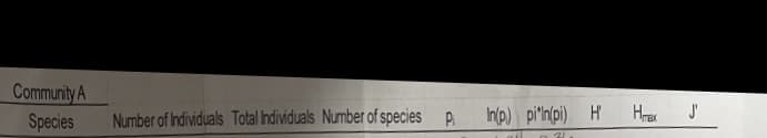 Community A
Species
Number of Individuals Total Individuals Number of species P In(p) pin(pi) H
21.
Hmax
J'