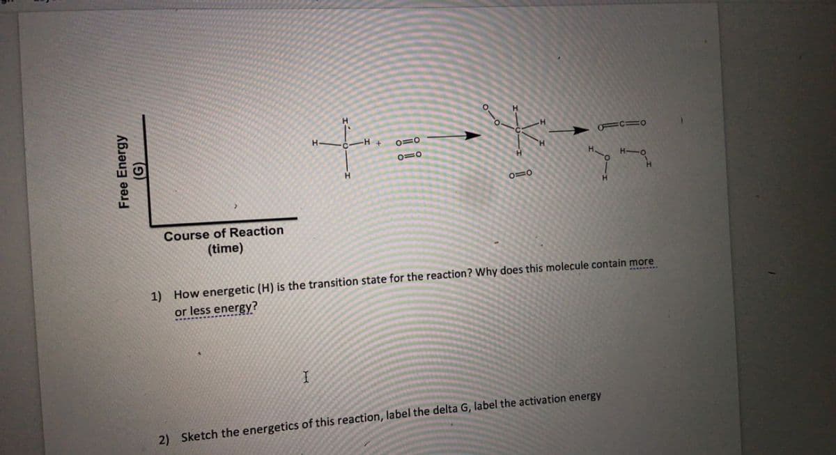 H.
H-
FC=0
0=0
H.
0=0
H-O
H
0=0
Course of Reaction
(time)
1) How energetic (H) is the transition state for the reaction? Why does this molecule contain more
or less energy?
2) Sketch the energetics of this reaction, label the delta G, label the activation energy
Free Energy
