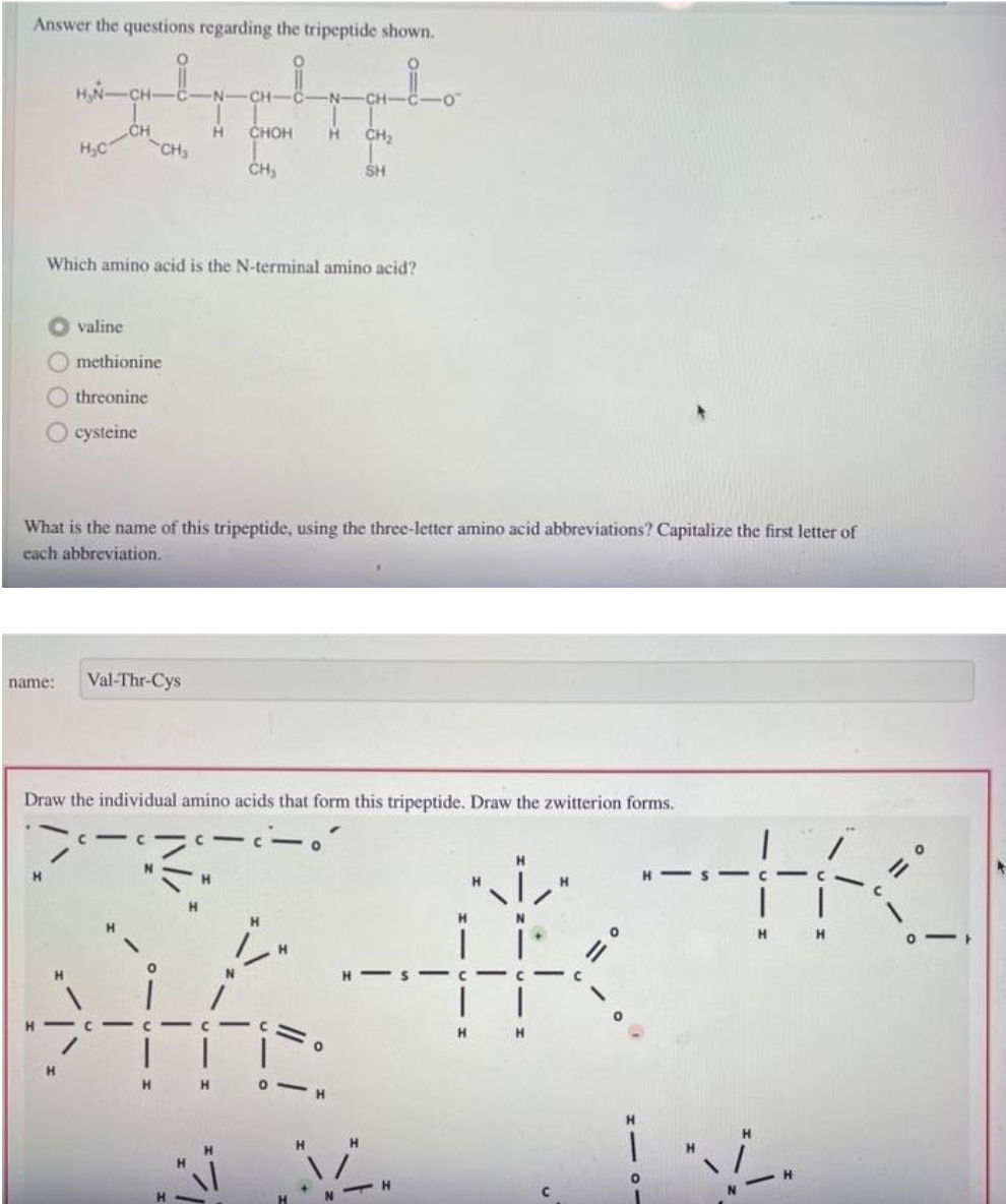 Answer the questions regarding the tripeptide shown.
H,N-CH-
·C
CH-
N-CH
H.
CHOH
CH2
H,C
CH,
CH,
SH
Which amino acid is the N-terminal amino acid?
valine
methionine
threonine
cysteine
What is the name of this tripeptide, using the three-letter amino acid abbreviations? Capitalize the first letter of
cach abbreviation.
name:
Val-Thr-Cys
Draw the individual amino acids that form this tripeptide. Draw the zwitterion forms.
H.
H H
H.
H
H H
H.
H.
NIH
