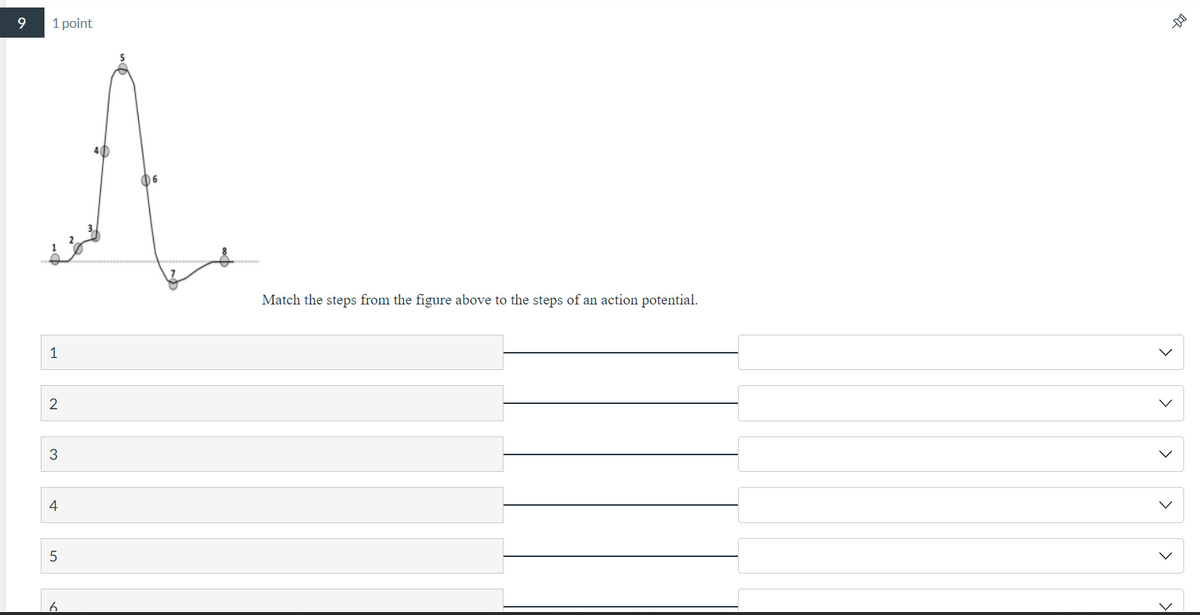 9
1 point
1
2
3
4
5
6
6
Match the steps from the figure above to the steps of an action potential.
>
>
<
<
>