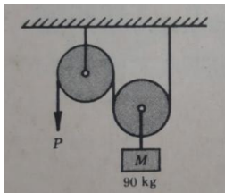 M
90 kg
