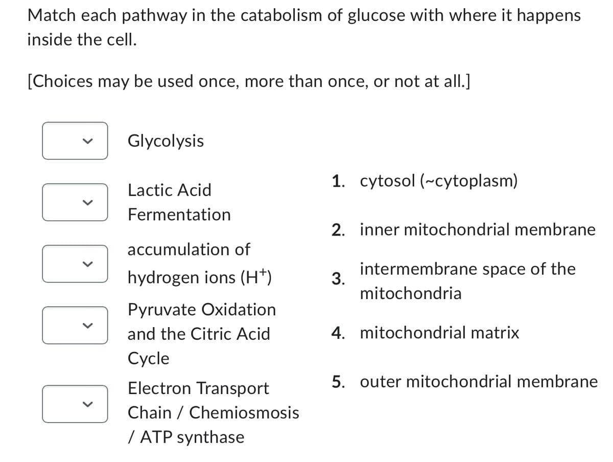 Match each pathway in the catabolism of glucose with where it happens
inside the cell.
[Choices may be used once, more than once, or not at all.]
DOD
Glycolysis
Lactic Acid
Fermentation
accumulation of
hydrogen ions (H+)
Pyruvate Oxidation
and the Citric Acid
Cycle
Electron Transport
Chain / Chemiosmosis
/ ATP synthase
1. cytosol (~cytoplasm)
2. inner mitochondrial membrane
intermembrane space of the
mitochondria
3.
4. mitochondrial matrix
5. outer mitochondrial membrane